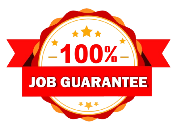 Internship and Placement Support